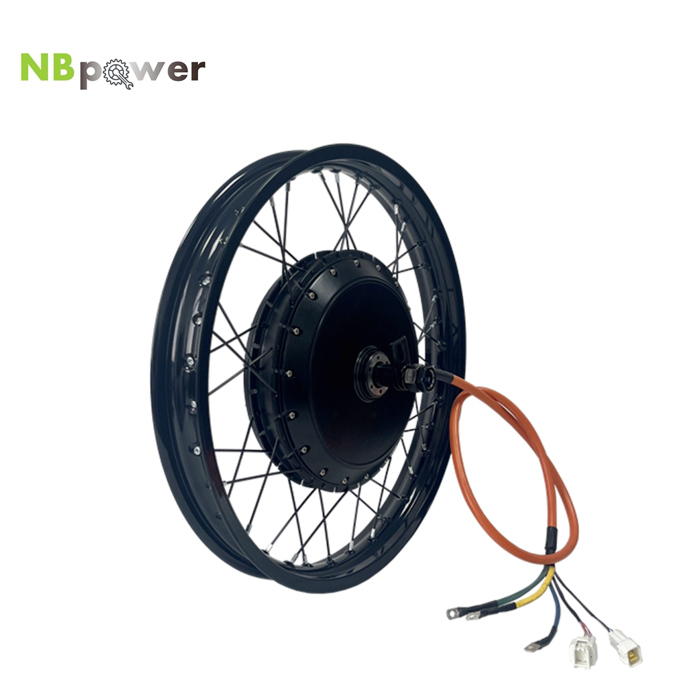NBpower/170mm Dropout QS 273 4 - Qs Motor 273 8000W Hub Motor review and price